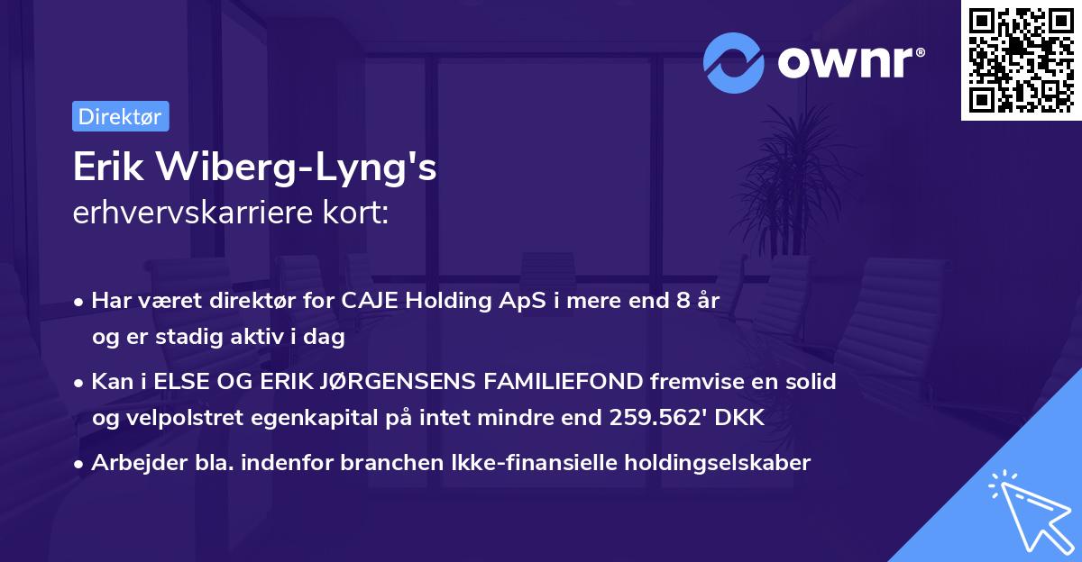 Erik Wiberg-Lyng's erhvervskarriere kort