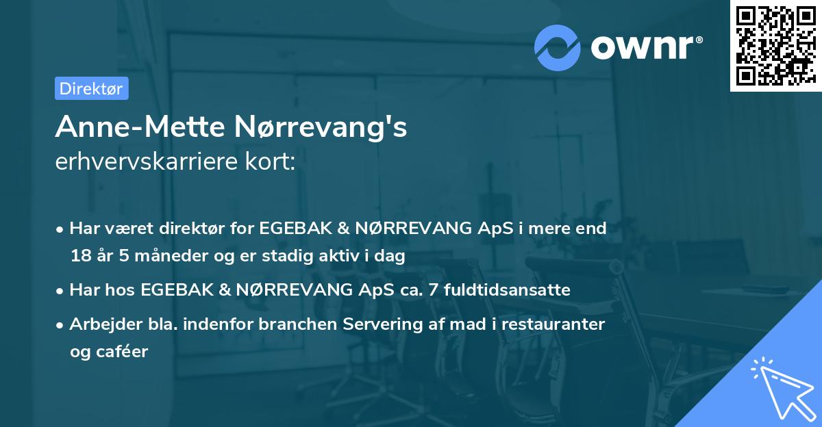 Anne-Mette Nørrevang's erhvervskarriere kort