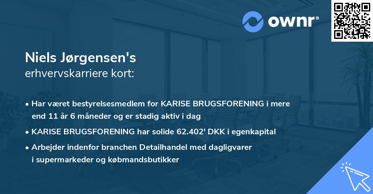 Niels Jørgensen's erhvervskarriere kort