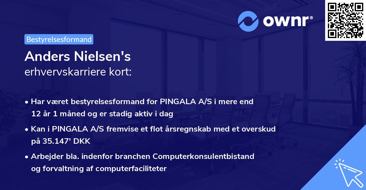 Anders Nielsen's erhvervskarriere kort