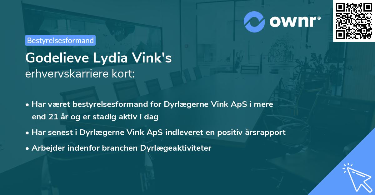 Godelieve Lydia Vink's erhvervskarriere kort