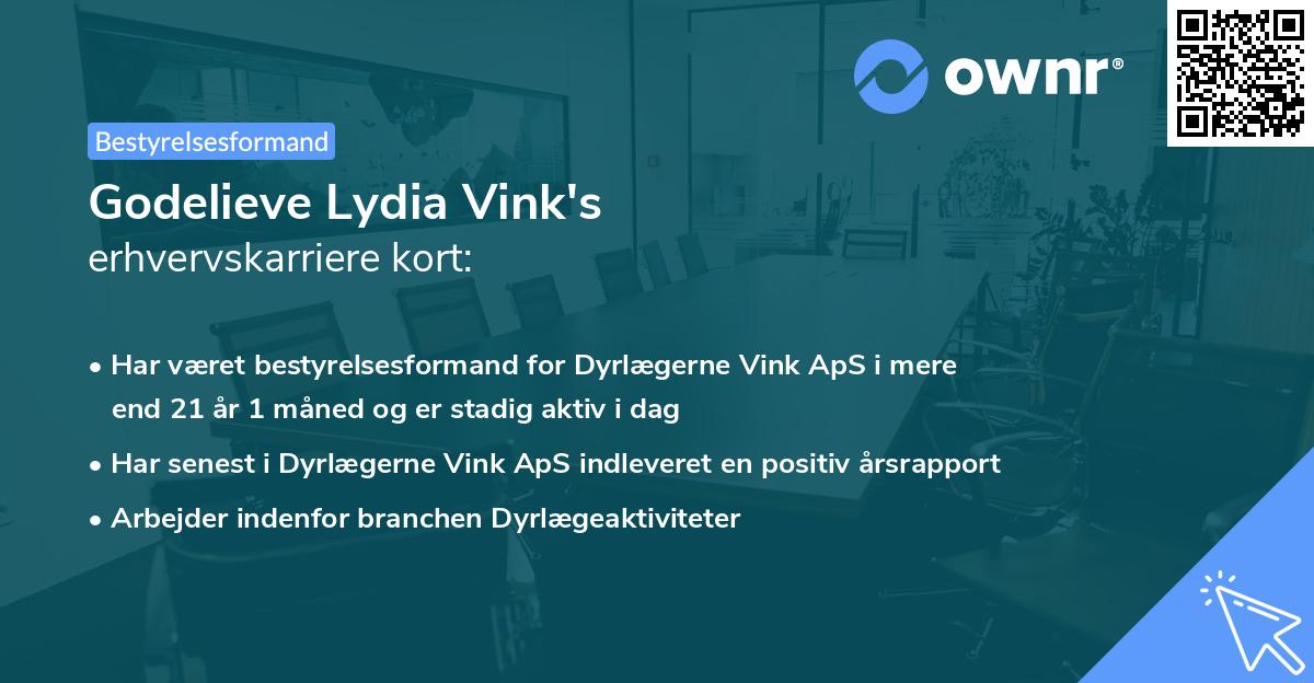 Godelieve Lydia Vink's erhvervskarriere kort