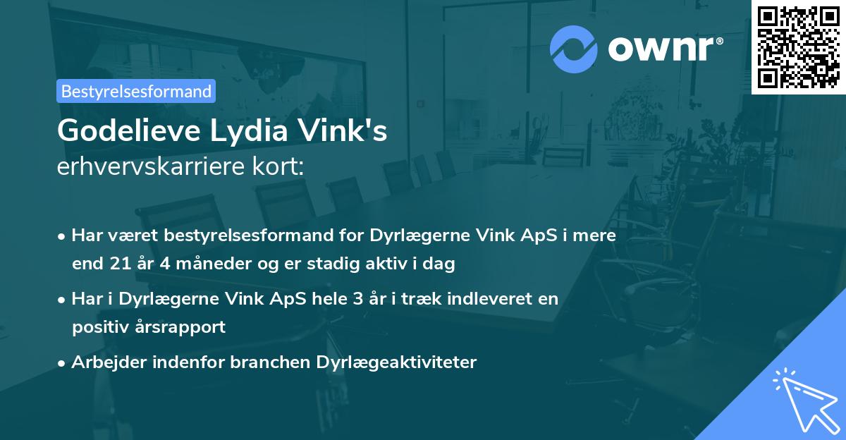 Godelieve Lydia Vink's erhvervskarriere kort