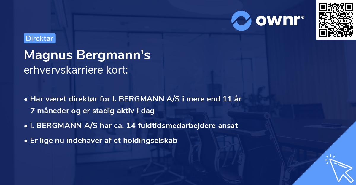 Magnus Bergmann's erhvervskarriere kort