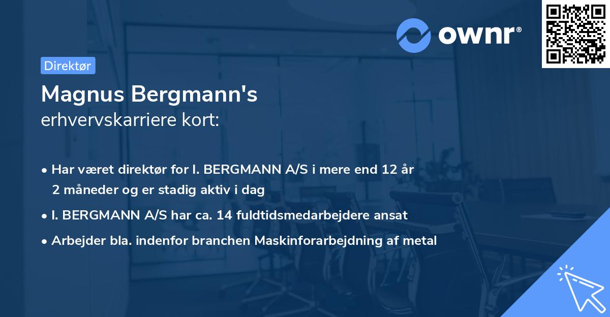 Magnus Bergmann's erhvervskarriere kort
