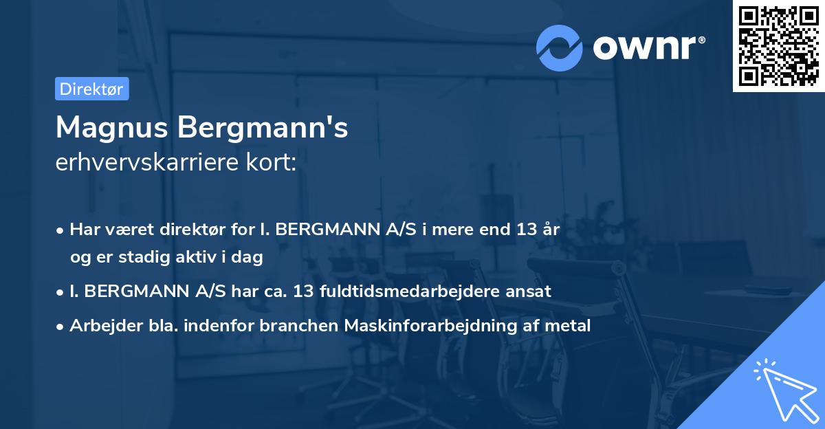 Magnus Bergmann's erhvervskarriere kort