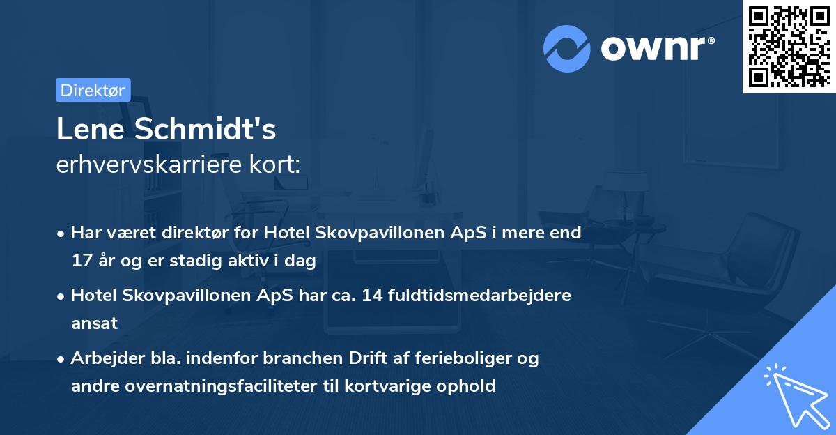 Lene Schmidt's erhvervskarriere kort
