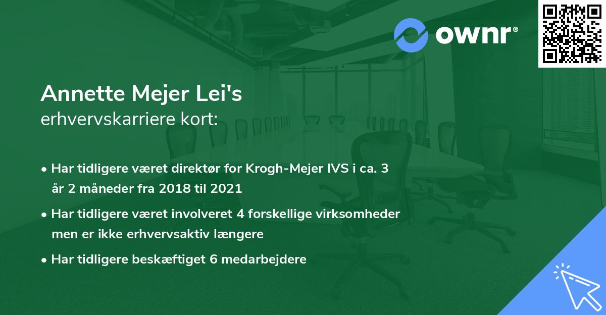 Annette Mejer Lei's erhvervskarriere kort