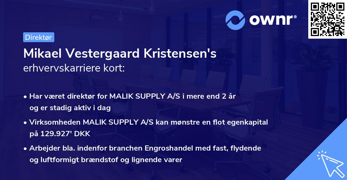 Mikael Vestergaard Kristensen's erhvervskarriere kort