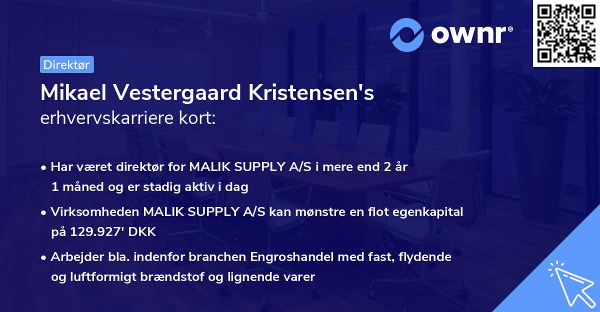 Mikael Vestergaard Kristensen's erhvervskarriere kort