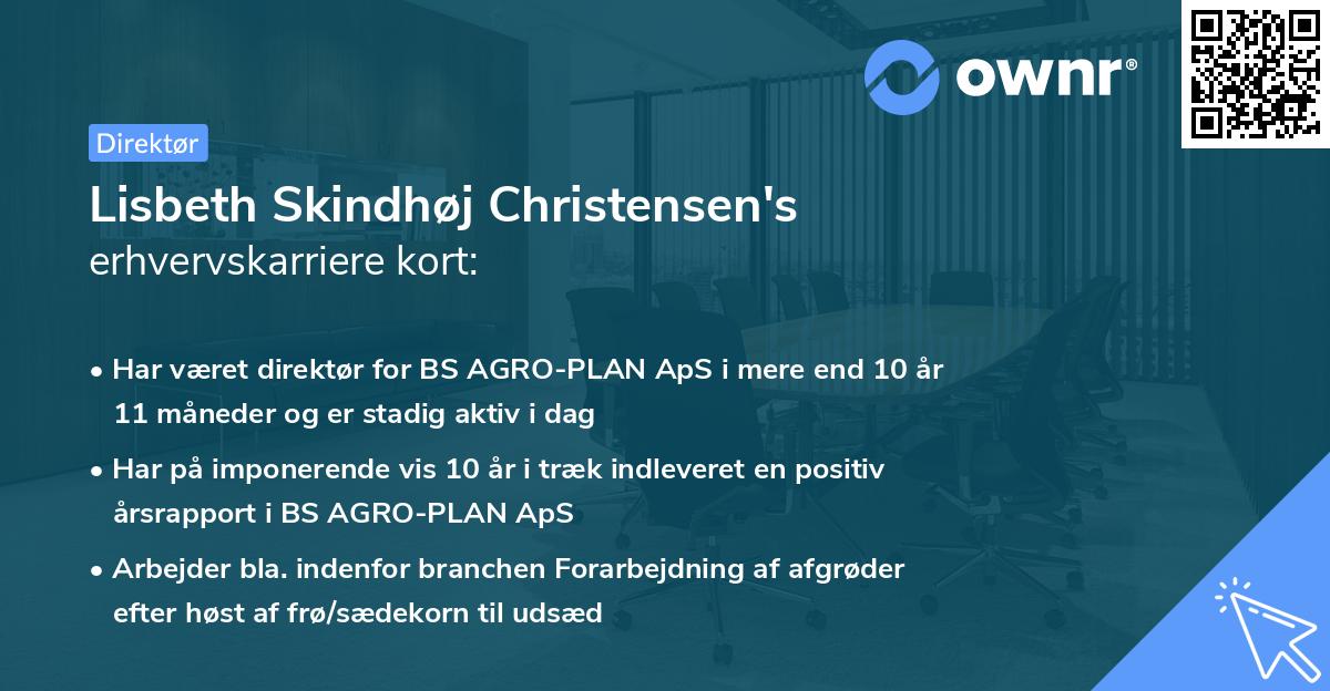 Lisbeth Skindhøj Christensen's erhvervskarriere kort