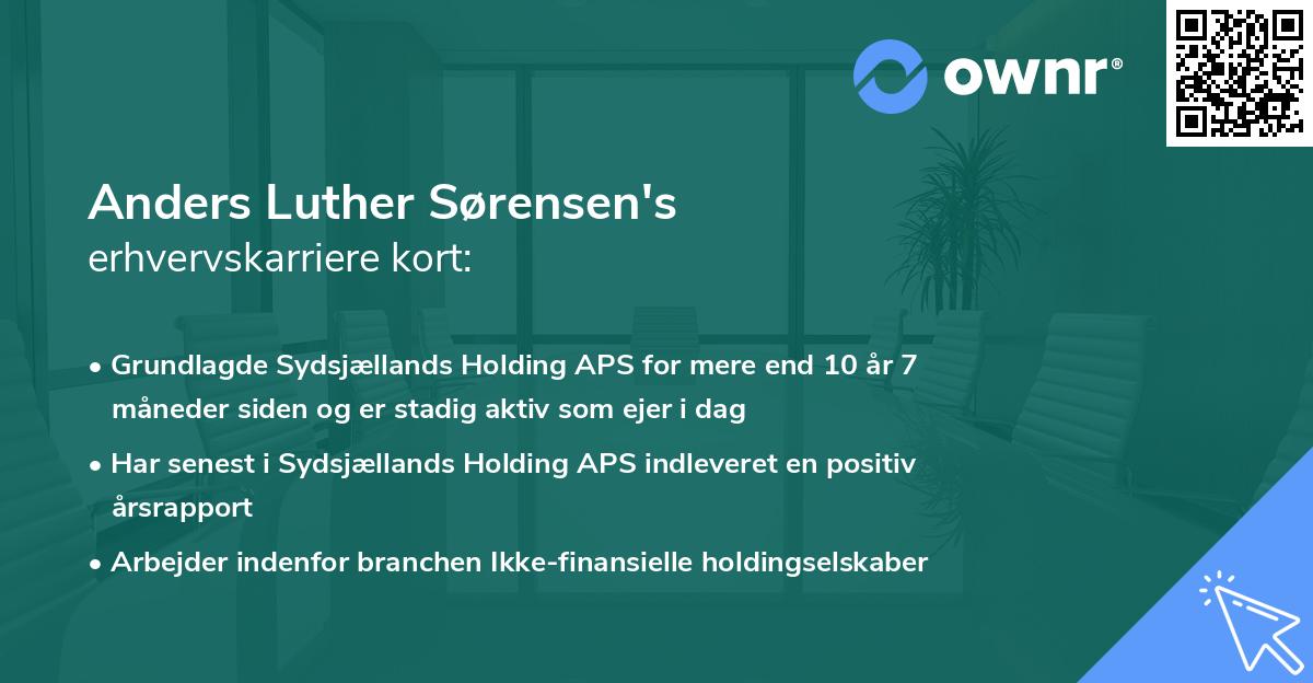 Anders Luther Sørensen's erhvervskarriere kort