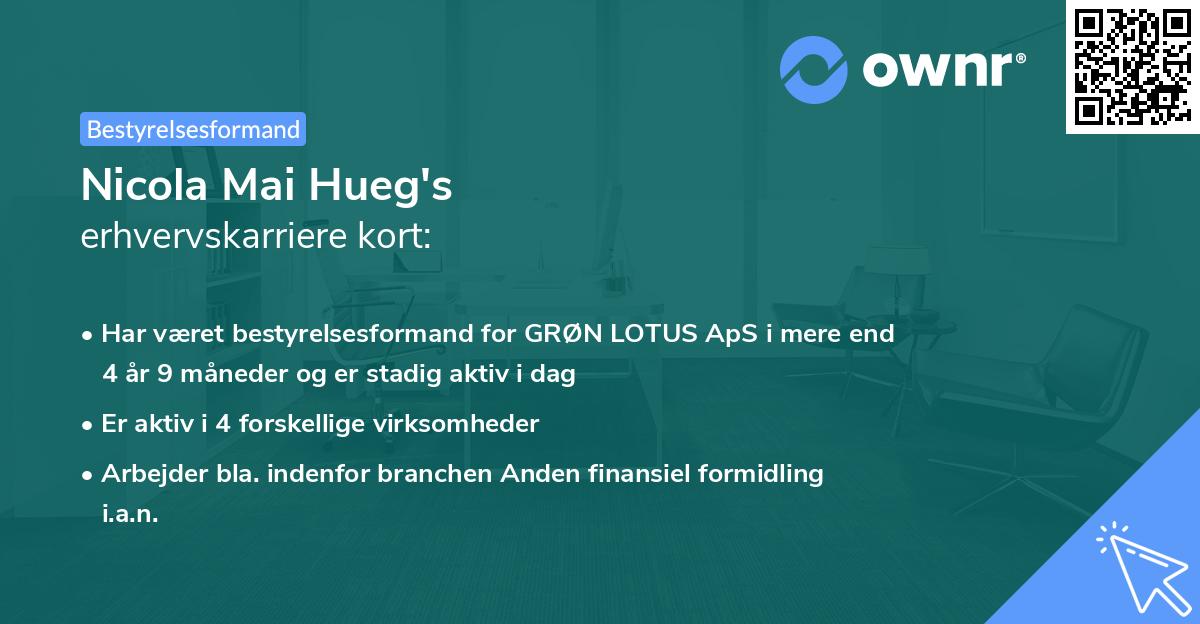 Nicola Mai Hueg's erhvervskarriere kort