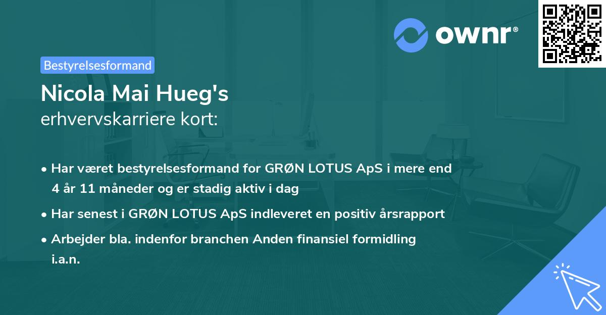 Nicola Mai Hueg's erhvervskarriere kort