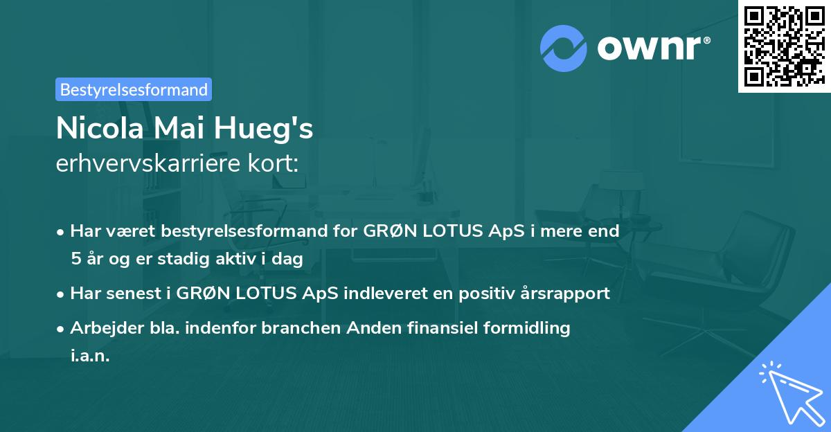 Nicola Mai Hueg's erhvervskarriere kort
