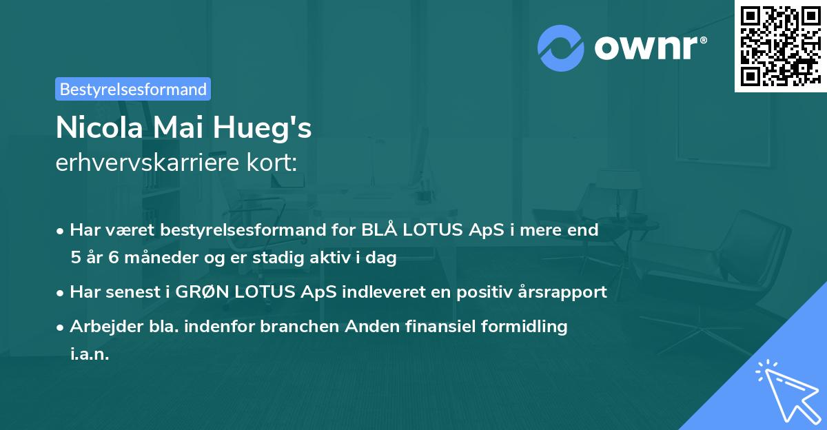 Nicola Mai Hueg's erhvervskarriere kort