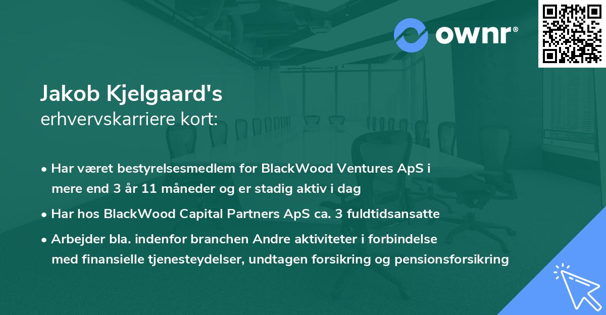 Jakob Kjelgaard's erhvervskarriere kort