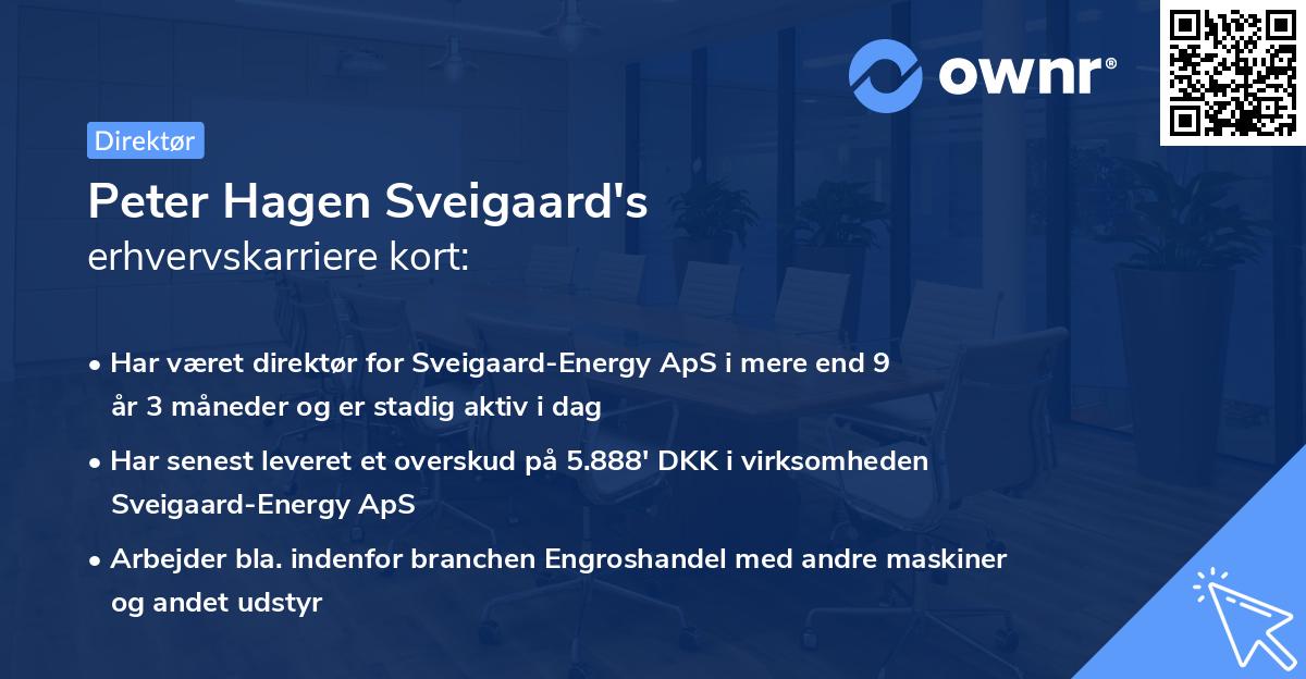 Peter Hagen Sveigaard's erhvervskarriere kort