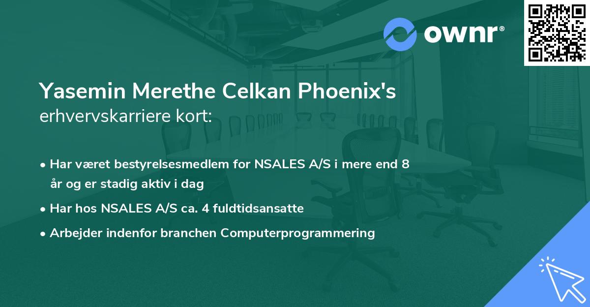 Yasemin Merethe Celkan Phoenix's erhvervskarriere kort