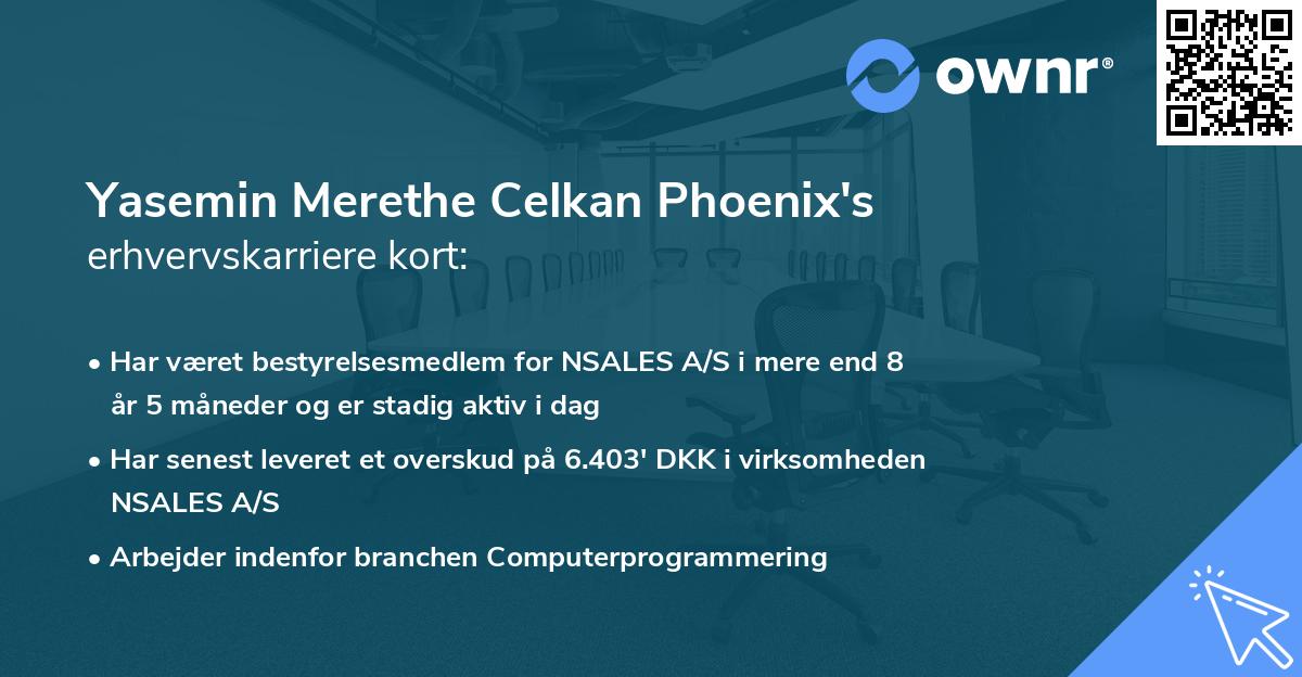 Yasemin Merethe Celkan Phoenix's erhvervskarriere kort