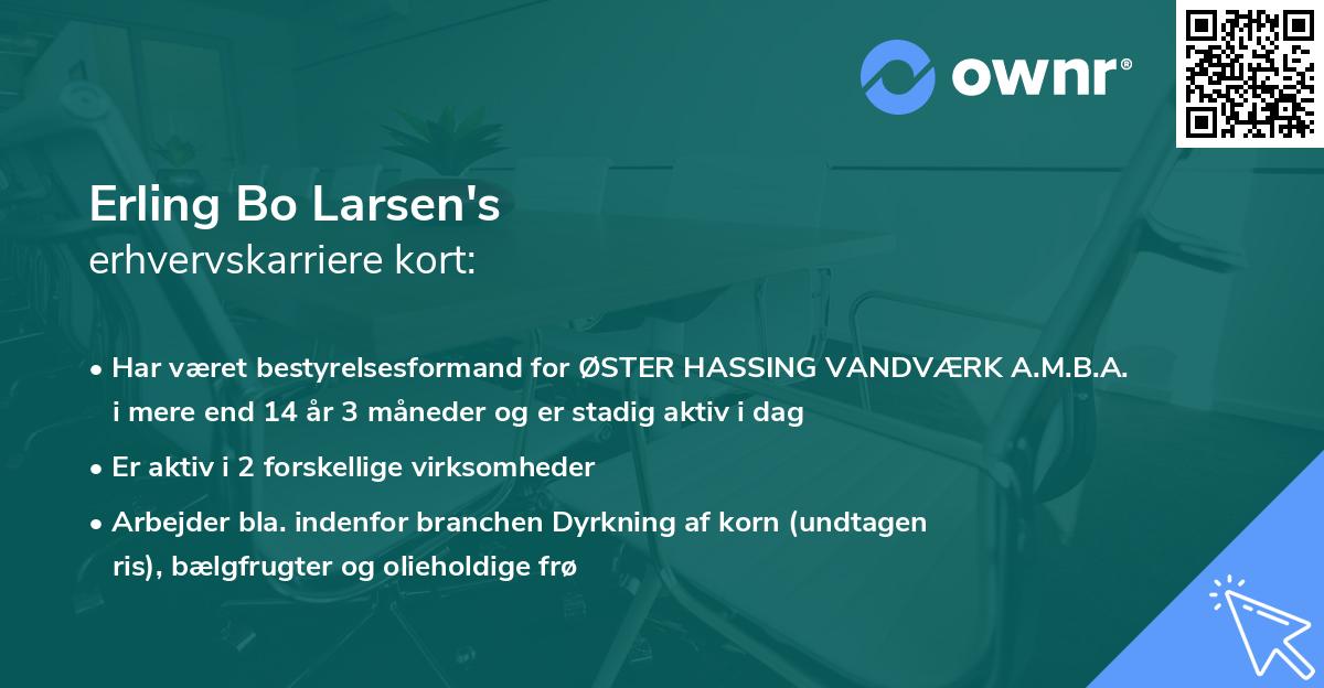 Erling Bo Larsen's erhvervskarriere kort