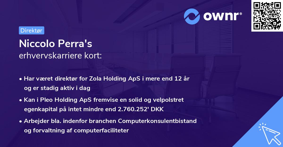 Niccolo Perra's erhvervskarriere kort