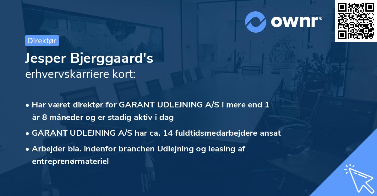Jesper Bjerggaard's erhvervskarriere kort