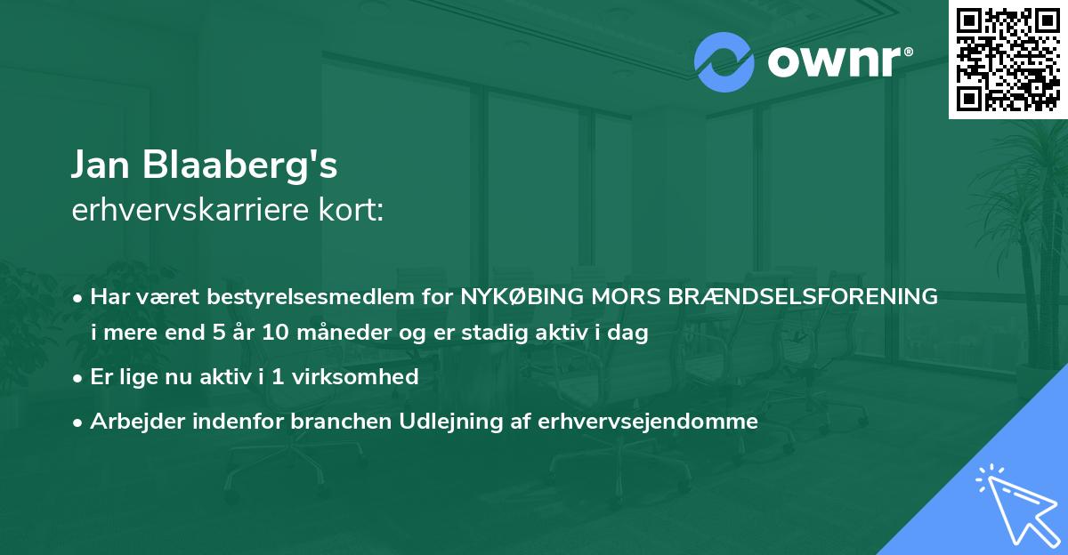 Jan Blaaberg's erhvervskarriere kort