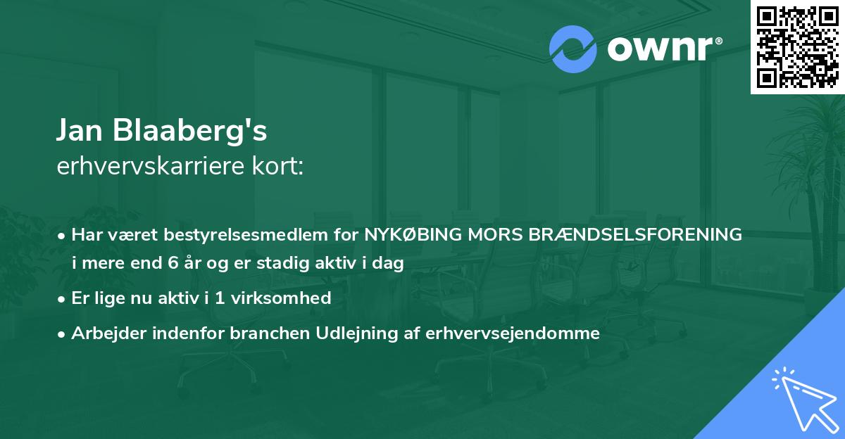 Jan Blaaberg's erhvervskarriere kort