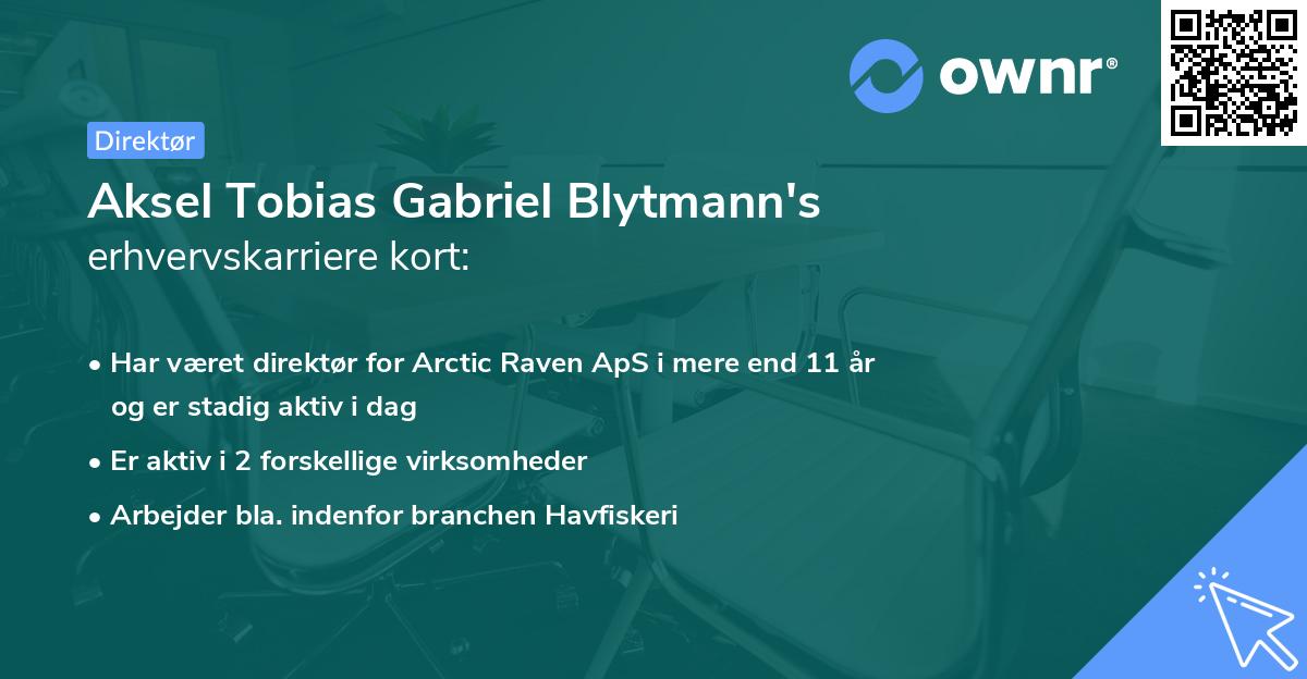 Aksel Tobias Gabriel Blytmann's erhvervskarriere kort