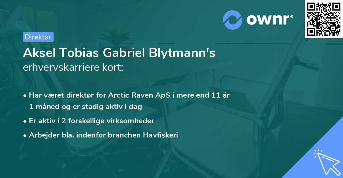 Aksel Tobias Gabriel Blytmann's erhvervskarriere kort