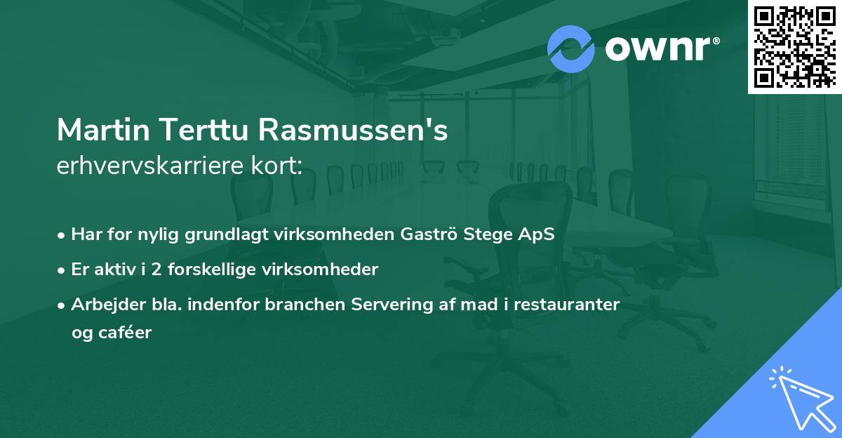 Martin Terttu Rasmussen's erhvervskarriere kort