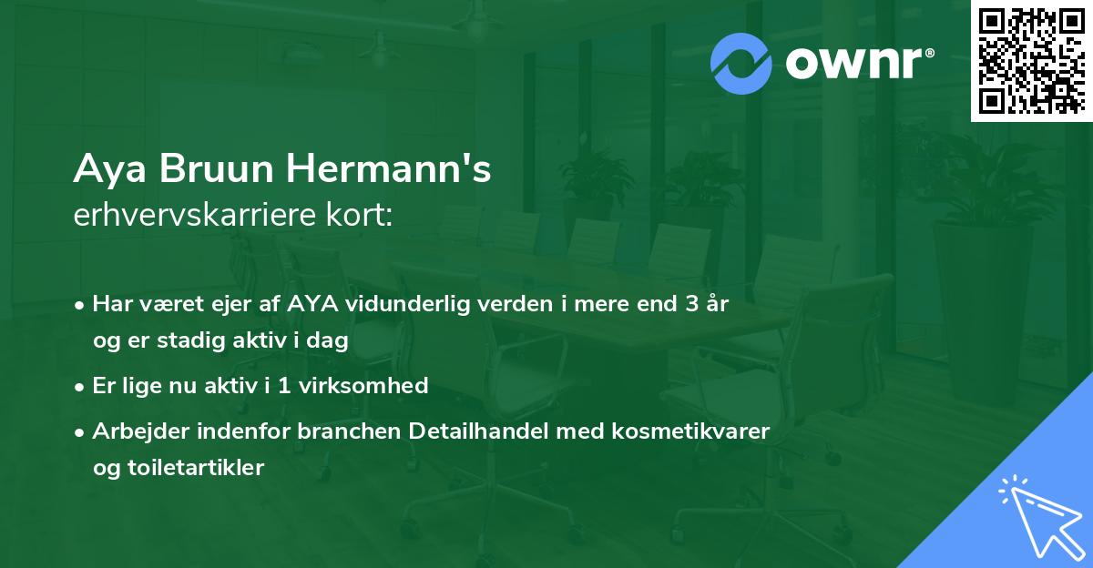 Aya Bruun Hermann's erhvervskarriere kort