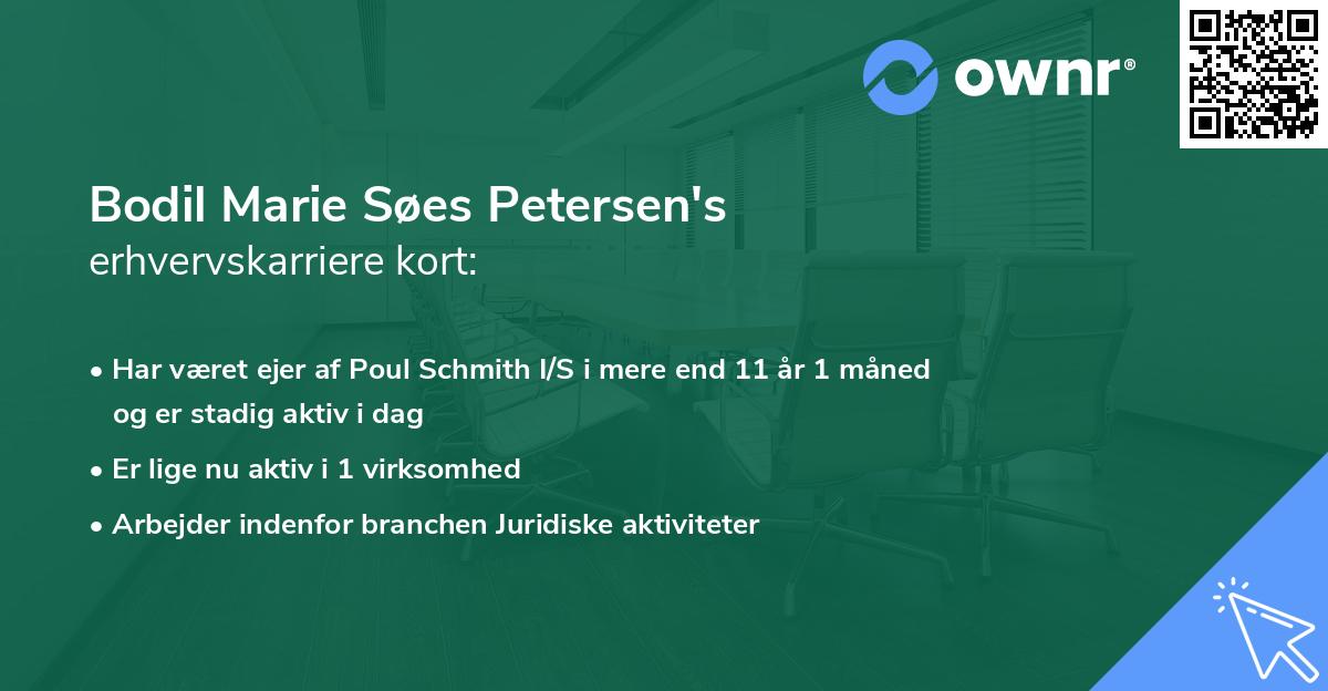Bodil Marie Søes Petersen's erhvervskarriere kort