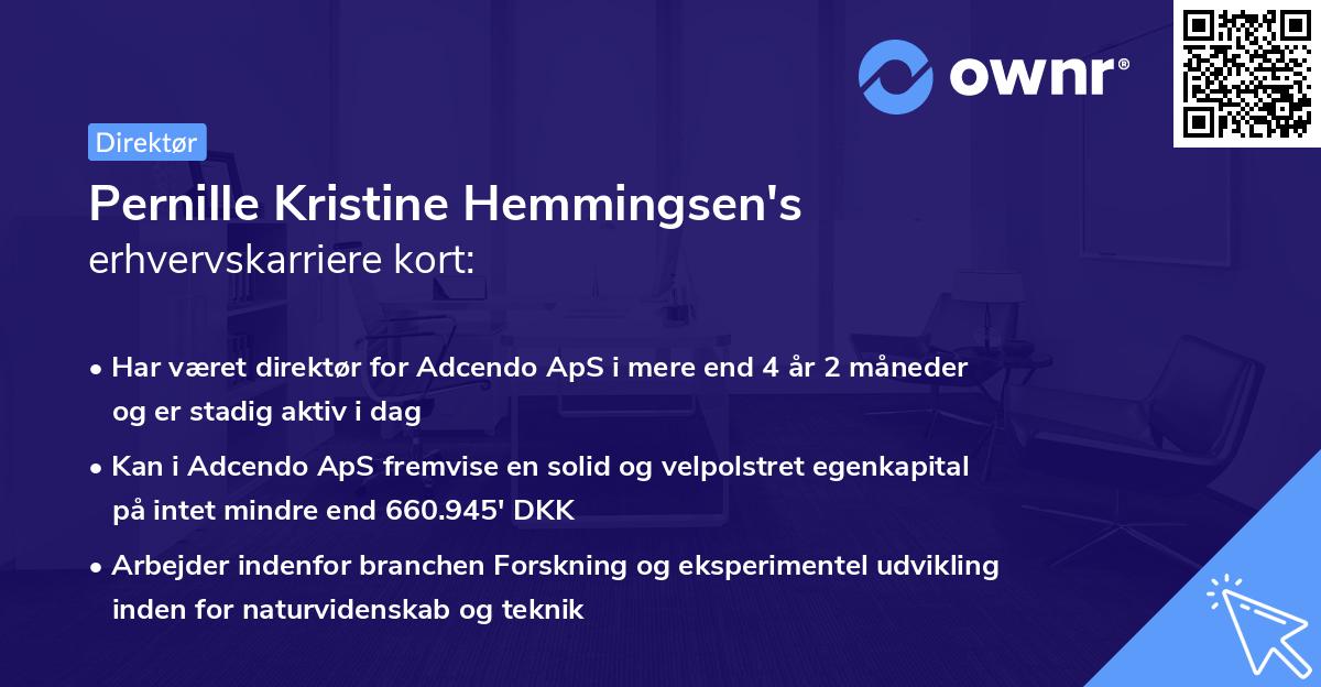 Pernille Kristine Hemmingsen's erhvervskarriere kort