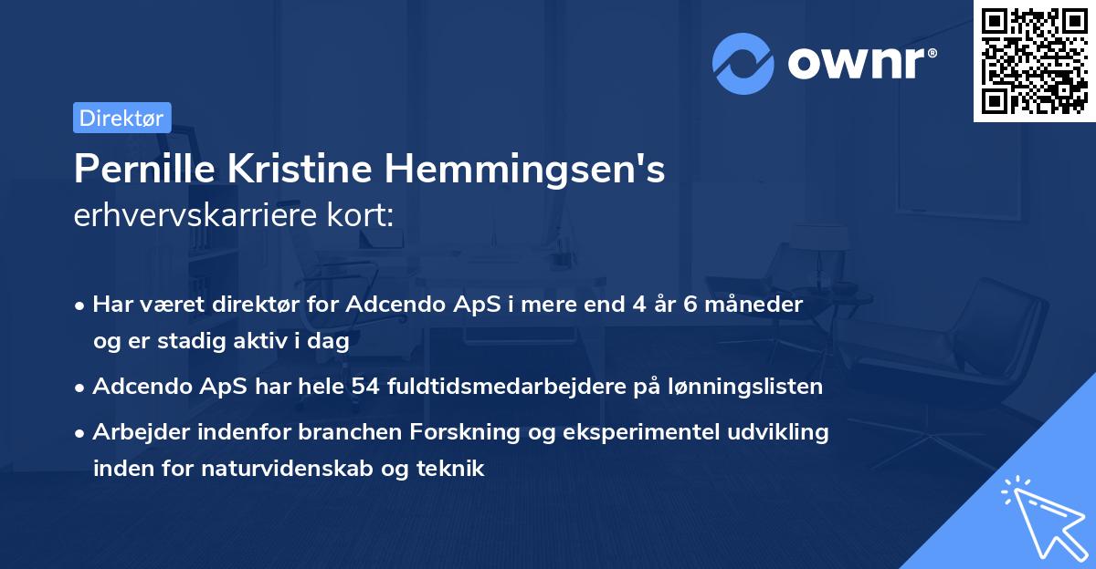 Pernille Kristine Hemmingsen's erhvervskarriere kort
