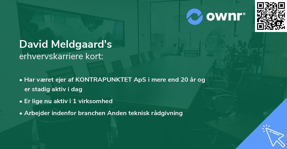 David Meldgaard's erhvervskarriere kort