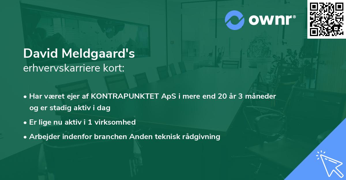 David Meldgaard's erhvervskarriere kort