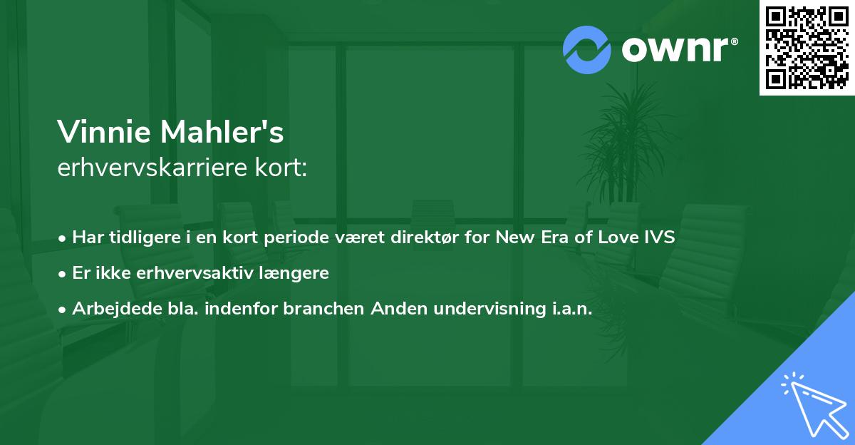 Vinnie Mahler's erhvervskarriere kort