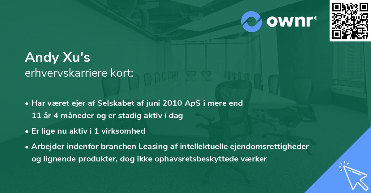 Andy Xu's erhvervskarriere kort