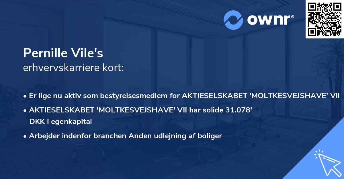 Pernille Vile's erhvervskarriere kort