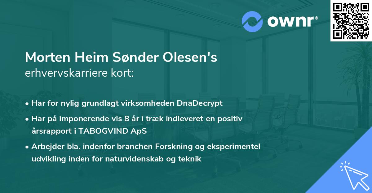 Morten Heim Sønder Olesen's erhvervskarriere kort