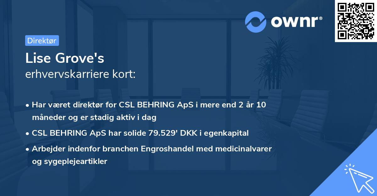 Lise Grove's erhvervskarriere kort