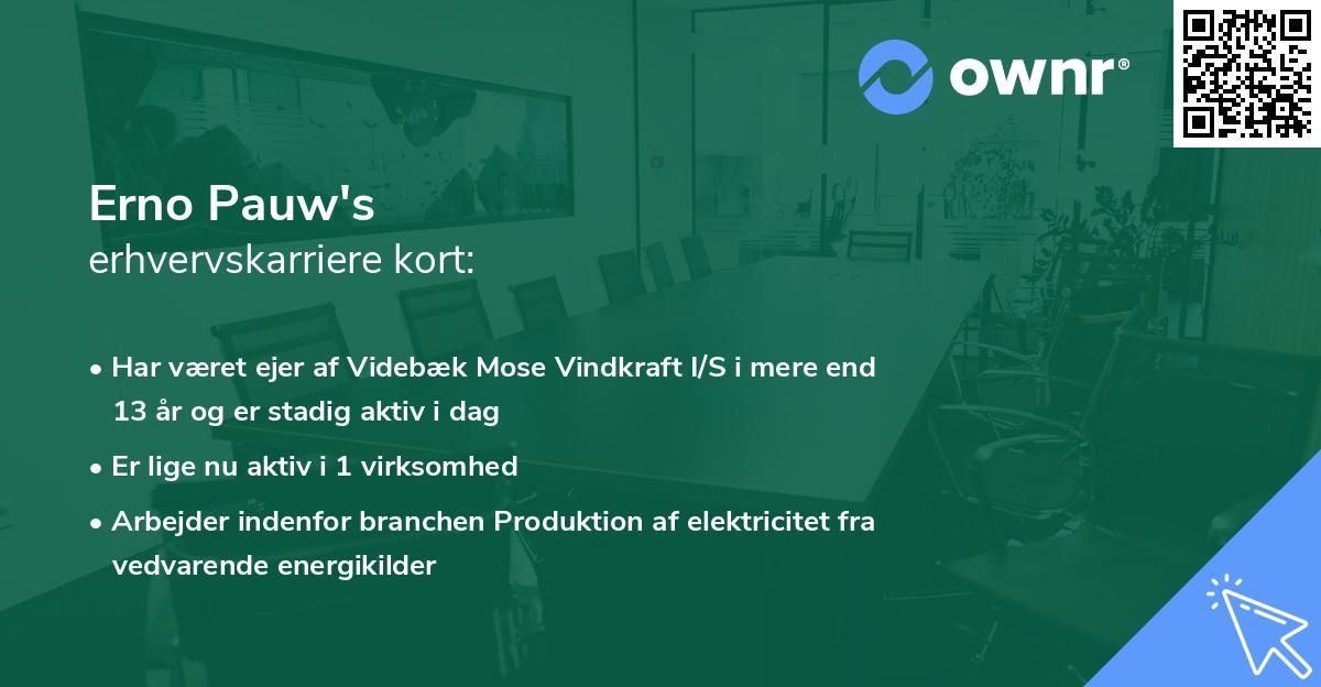 Erno Pauw's erhvervskarriere kort