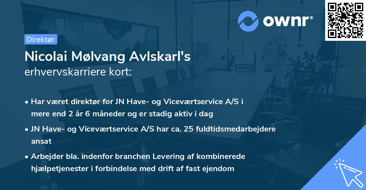 Nicolai Mølvang Avlskarl's erhvervskarriere kort