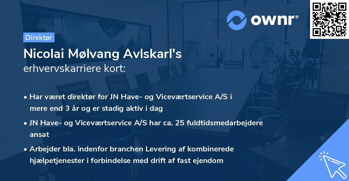 Nicolai Mølvang Avlskarl's erhvervskarriere kort