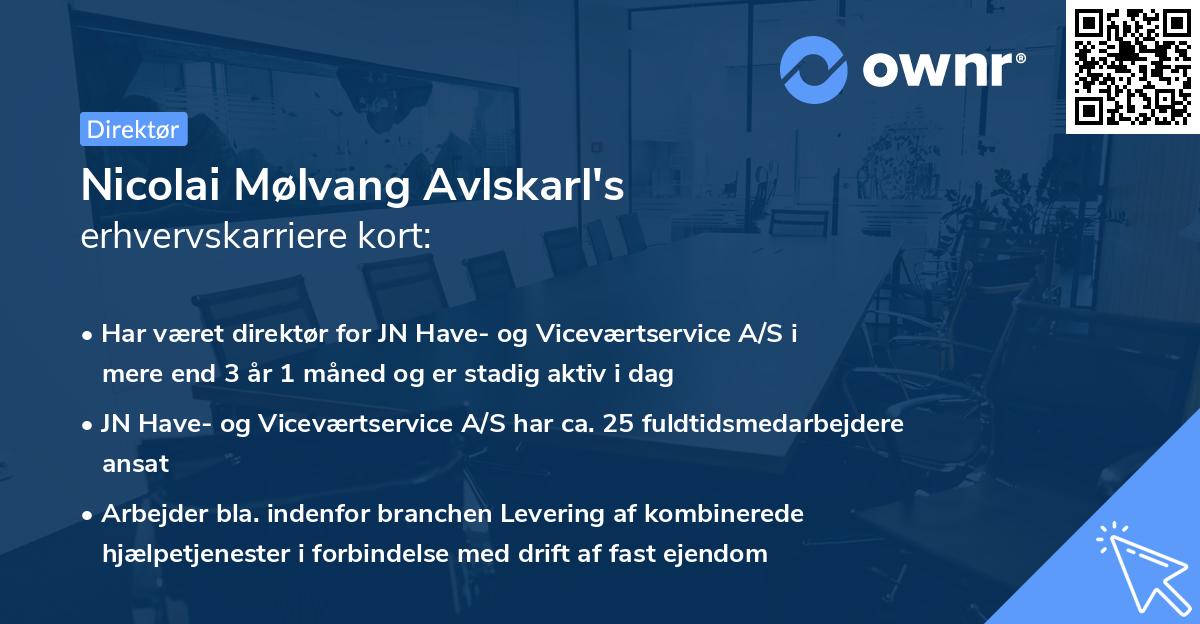 Nicolai Mølvang Avlskarl's erhvervskarriere kort