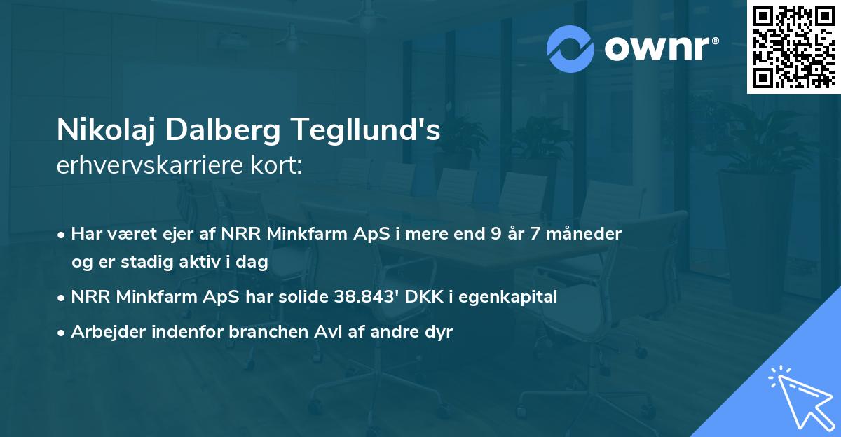 Nikolaj Dalberg Tegllund's erhvervskarriere kort