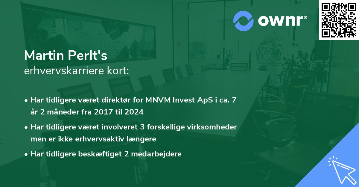 Martin Perlt's erhvervskarriere kort