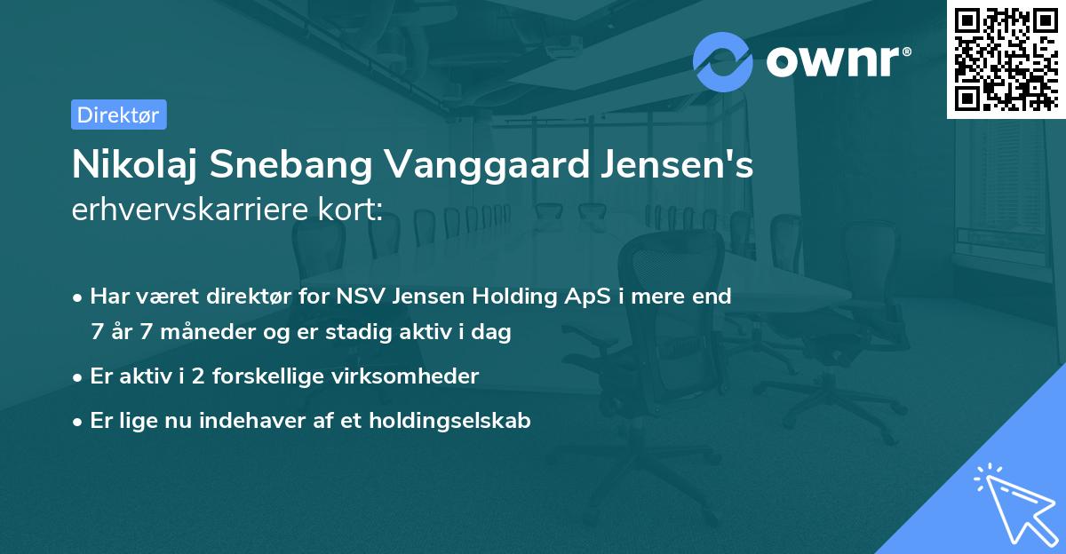 Nikolaj Snebang Vanggaard Jensen's erhvervskarriere kort